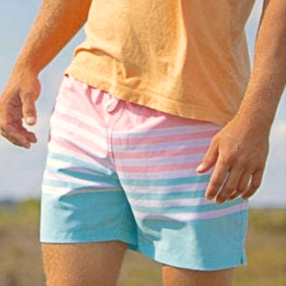 Chubbies On the Horizon swim trunks